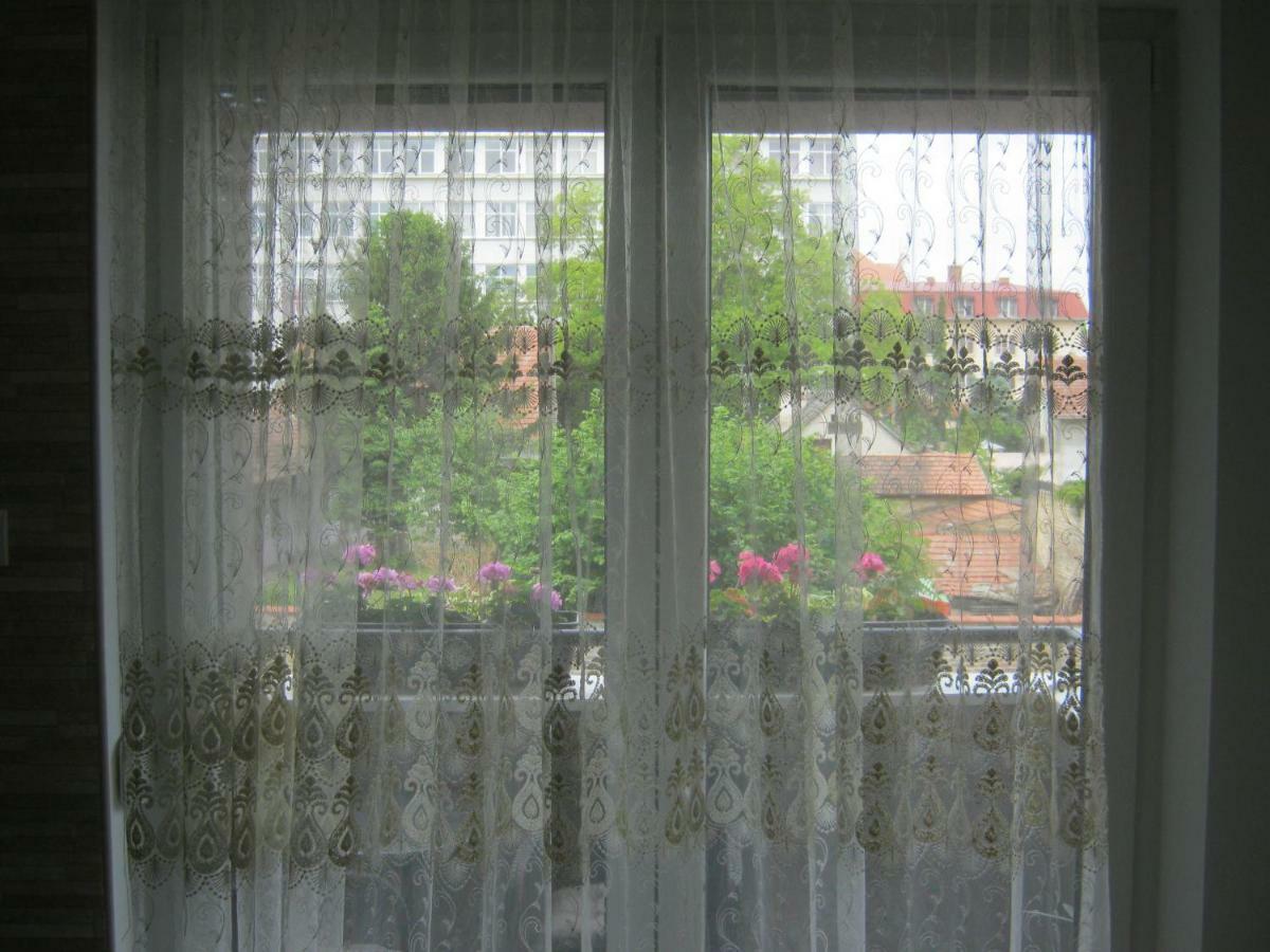 Ildiko Studio Apartment Is A Calm Place To Relax Subotica Exterior foto